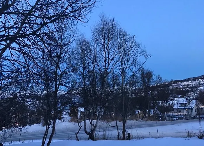 Wonderful With Sauna * Tromsø